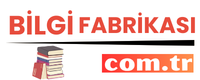 bilgifabrikasi.com.tr